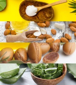 Pre-Swim Hair Defense 16.9 Oz. -Splash Essentials 5678005846184 almondscented 5a